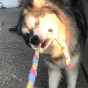 Meet your Posher, Kelly